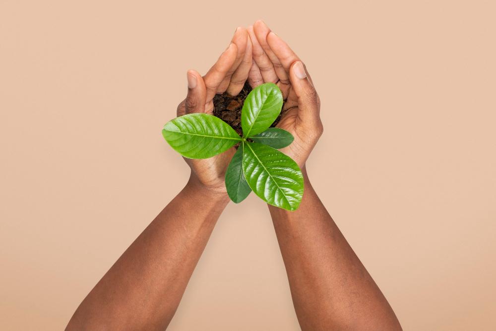 Eco-Friendly Cleaning for Weaverville Homes and Businesses