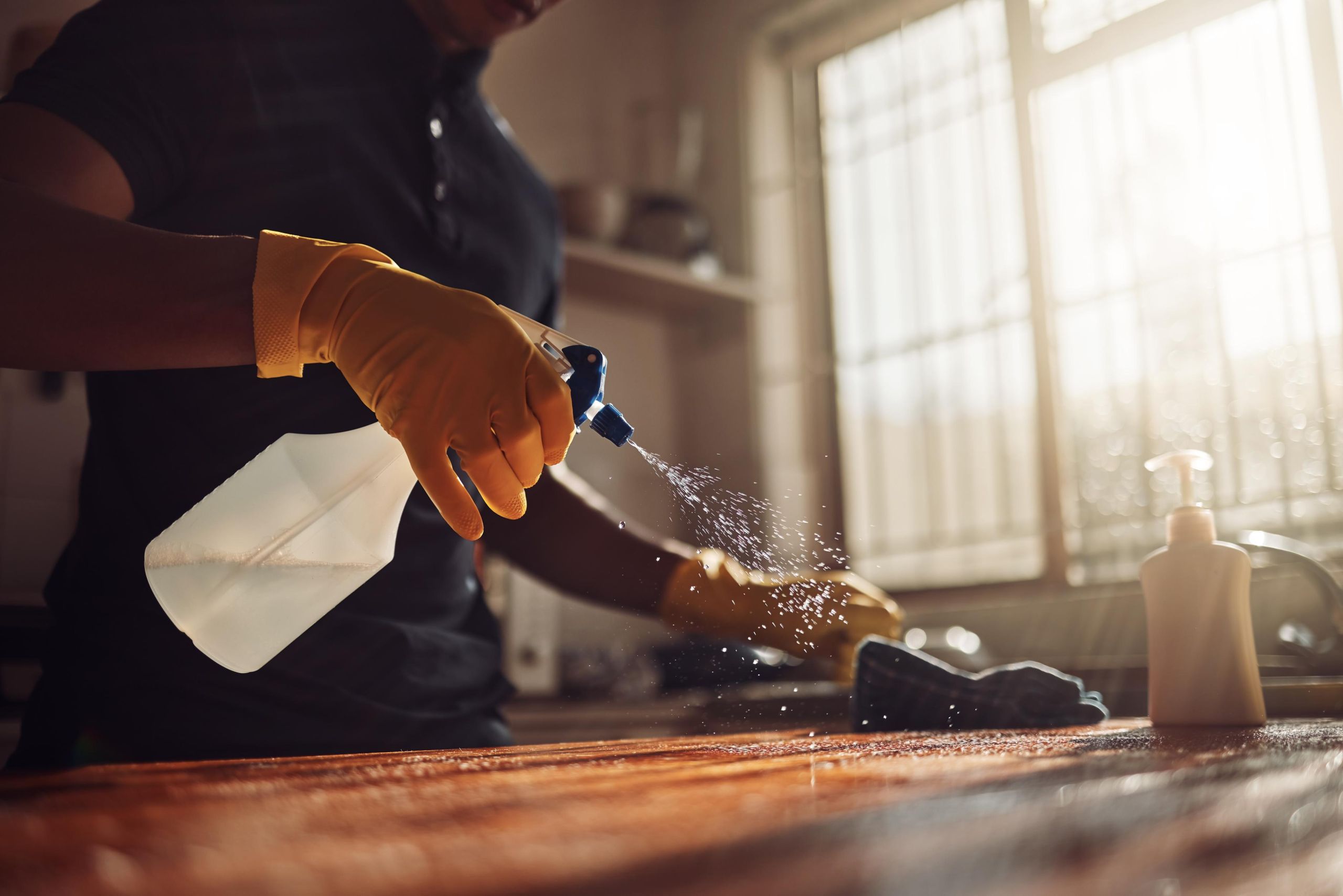 Professional residential cleaning service in Asheville, NC
