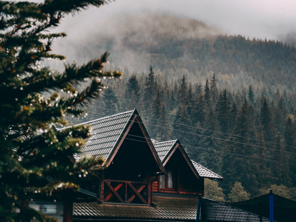 Eco-Friendly Cleaning for Asheville Vacation Rentals
