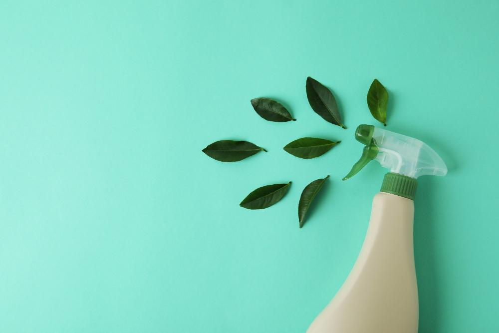 Eco-Friendly Cleaning Services in Downtown Asheville